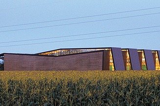 Ansicht einer Fertigungshalle in Holzbauweise, davor ist ein Maisfeld zu sehen