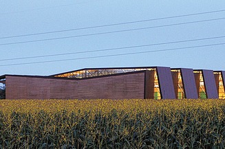 Ansicht einer Fertigungshalle in Holzbauweise, davor ist ein Maisfeld zu sehen