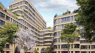 Courtyard with trees and a high-rise building