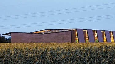 Ansicht einer Fertigungshalle in Holzbauweise, davor ist ein Maisfeld zu sehen