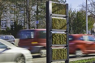 Foto von einer Mooswand an einer Straße. 