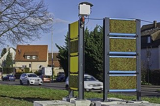 Foto von zwei Mooswänden an einer Straße. 