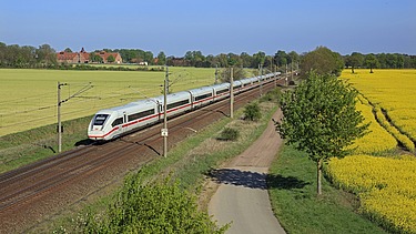 Foto einer Bahnstrecke mit einem weißen Schnellzug, links und rechts blühende, gelbe Rapsfelder