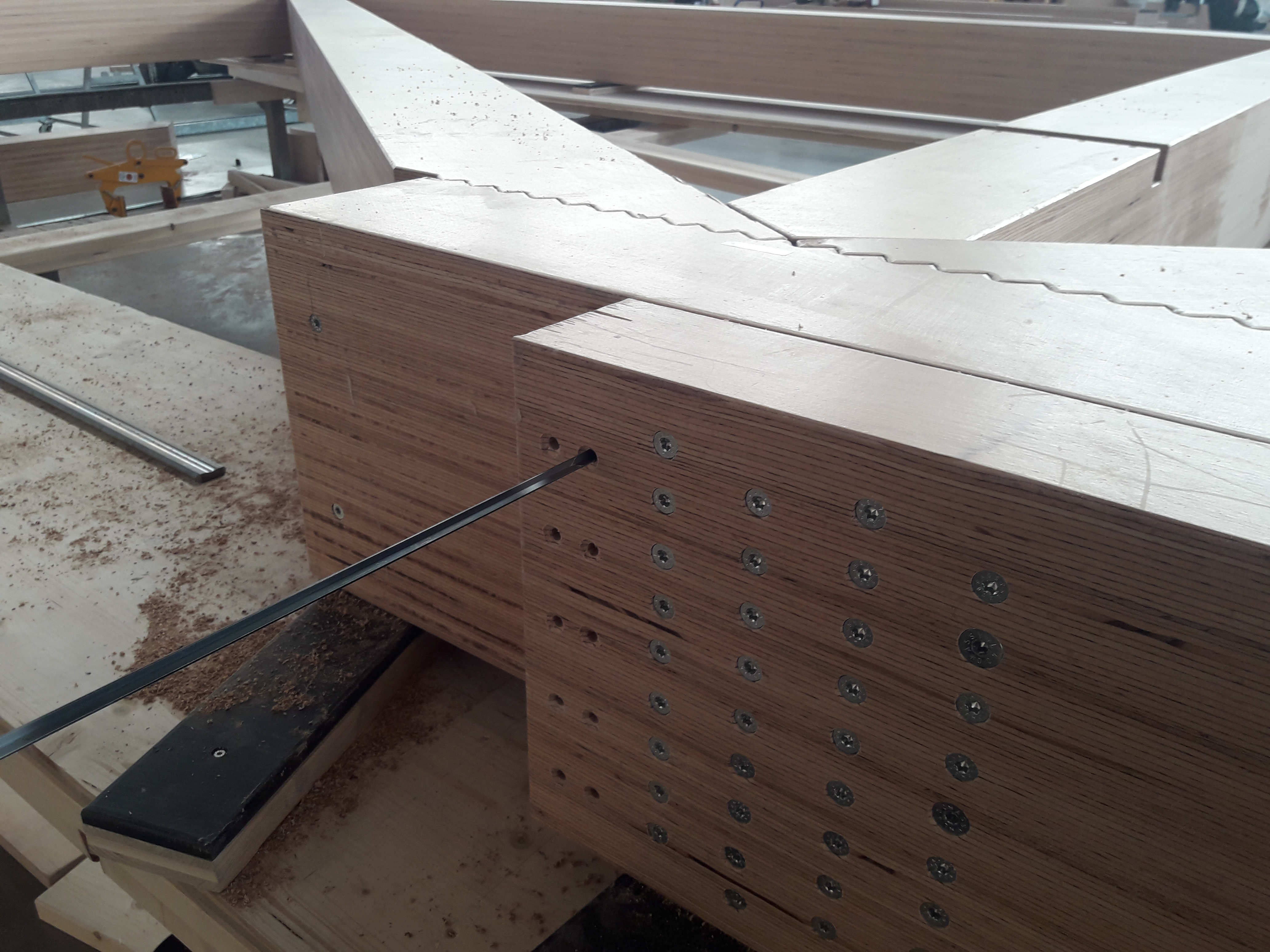 Foto von einer Hartholzplatte, wo mehrere Schrauben gebohrt wurden.   