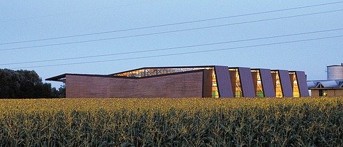 Ansicht einer Fertigungshalle in Holzbauweise, davor ist ein Maisfeld zu sehen