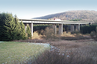 Foto von einer Brücke. Drumherum ist Wald.  
