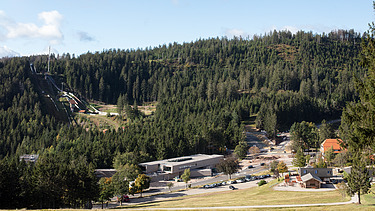 Foto von einem Wald in der Totalaufnahmen. Es erstreckt sich eine Straße und eine Seilbahn durch den Wald. 