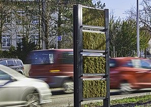 Foto von einer Mooswand an einer Straße. 