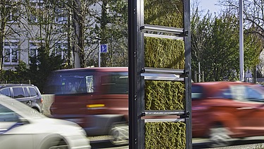 Foto von einer Mooswand an einer Straße. 