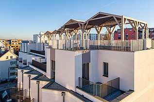 The roofs feature inviting pergolas and extensive greenery. 