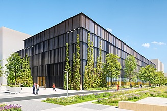 The picture shows a wood-hybrid construction