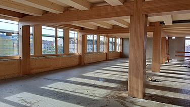 Foto vom Stützen aus Buchenholz.