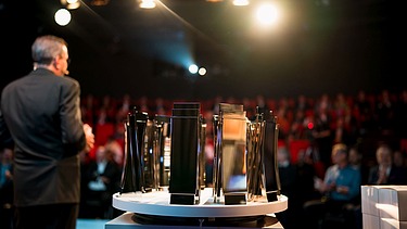 Nahaufnahme von dem badischen Architekturpreis.