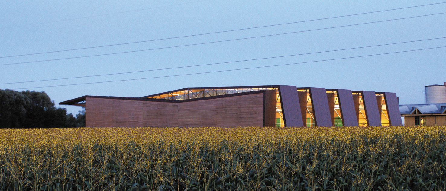 Ansicht einer Fertigungshalle in Holzbauweise, davor ist ein Maisfeld zu sehen