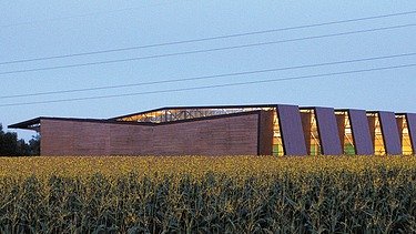Ansicht einer Fertigungshalle in Holzbauweise, davor ist ein Maisfeld zu sehen