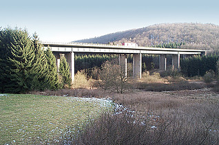 Foto von einer Brücke. Drumherum ist Wald.  