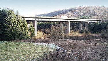 Foto von einer Brücke. Drumherum ist Wald.  