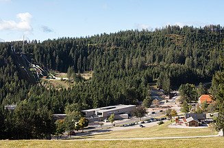Foto von einem Wald in der Totalaufnahmen. Es erstreckt sich eine Straße und eine Seilbahn durch den Wald. 