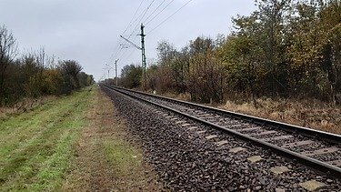 Foto von Eisenbahnschienen in einer Landschaft mit Bäumen und Wiese