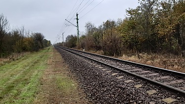 Photo of railway tracks in a landscape with trees and meadow