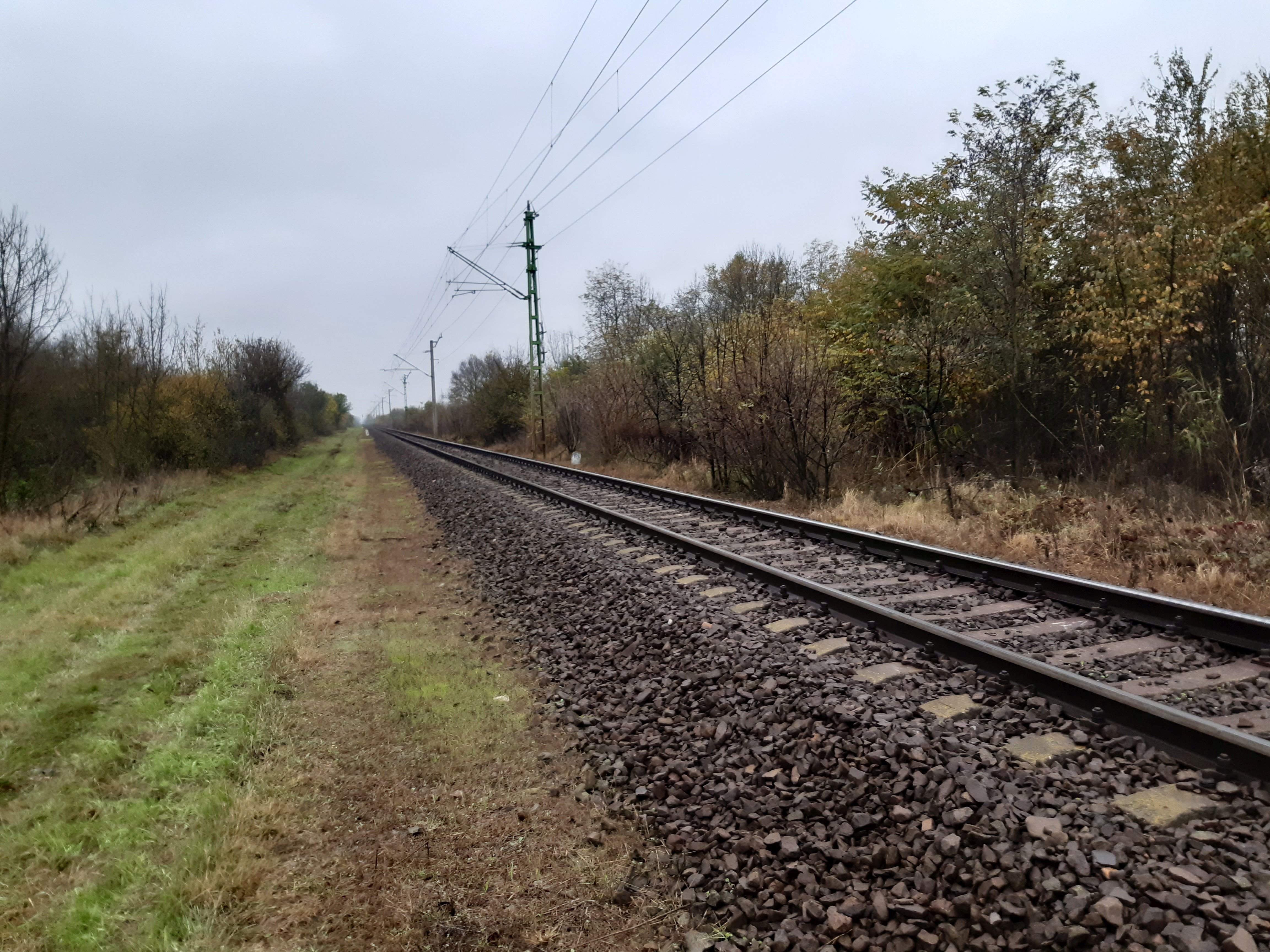 Photo of railway tracks in a landscape with trees and meadow