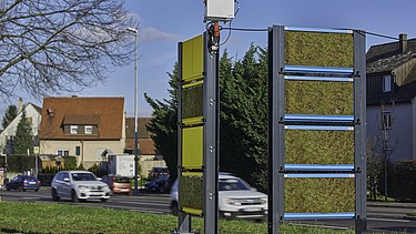 Foto von zwei Mooswänden an einer Straße. 