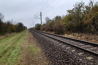 Photo of railway tracks in a landscape with trees and meadow