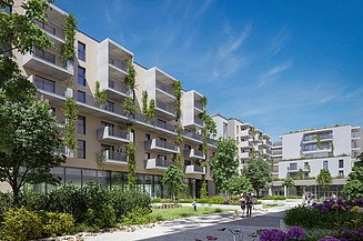 Photo of new buildings with green space and blue sky